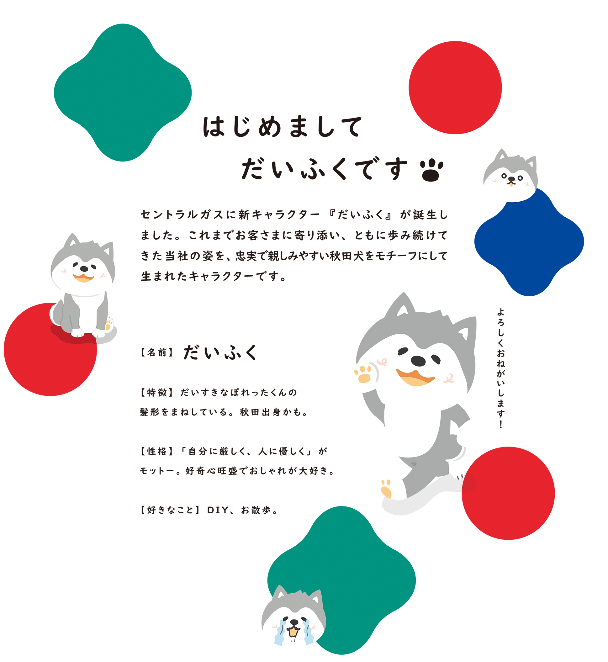 だいふくプロフィール